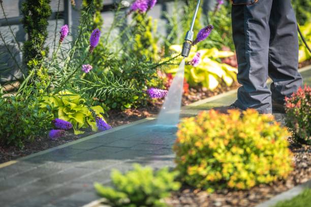 Best Parking Lot and Garage Cleaning  in Belmar, NJ