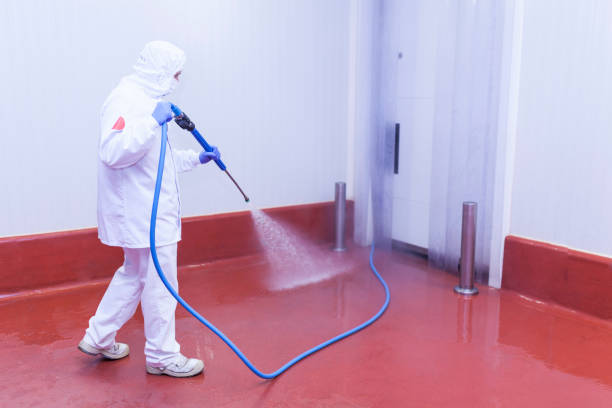 Best Playground Equipment Cleaning  in Belmar, NJ